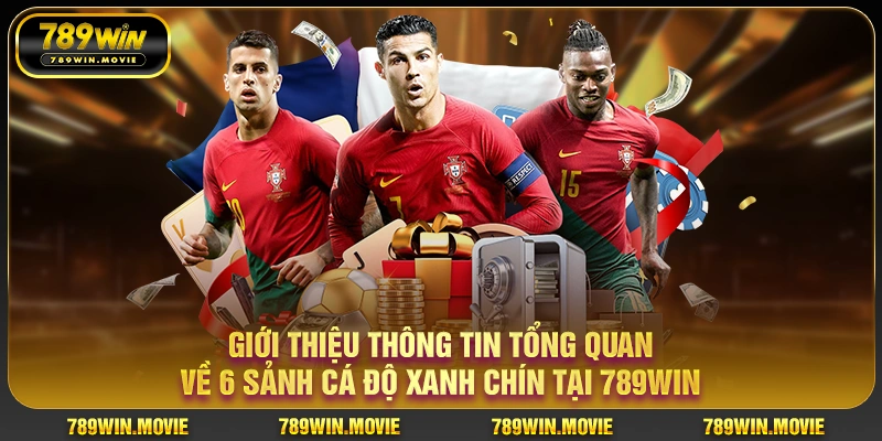Giới thiệu thông tin tổng quan về 6 sảnh cá độ xanh chín tại 789win